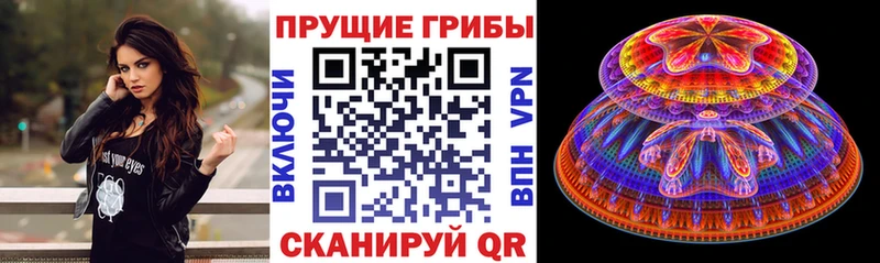 Галлюциногенные грибы Cubensis  Купить закладки  Тутаев 